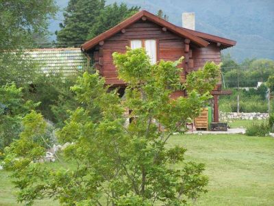 41356493-2046427265388362-7730778250460266496-n