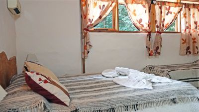 72484916-2683981644966251-617286383546925056-o